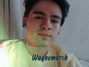 Waynemarsh