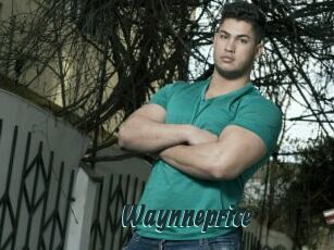 Waynneprice