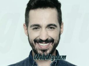 Webdigaum