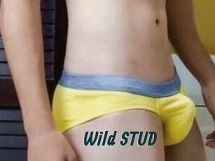 Wild_STUD