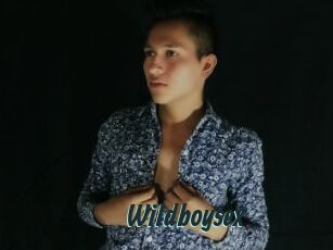 Wildboysex