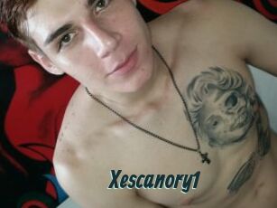 Xescanory1