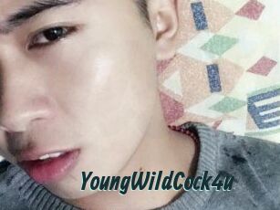 YoungWildCock4u