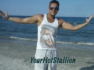 YourHotStallion