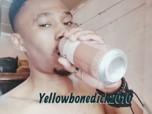 Yellowbonedick2010
