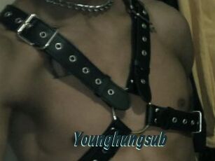 Younghungsub
