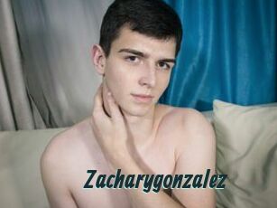 Zacharygonzalez