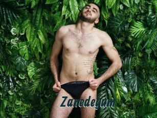 Zanedeyum