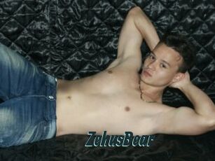 ZehusBear