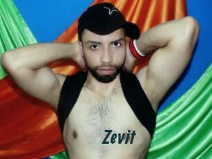Zevit